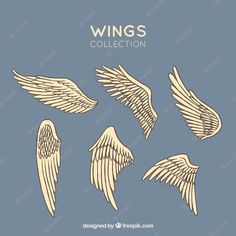 wings collection with different shapes and sizes