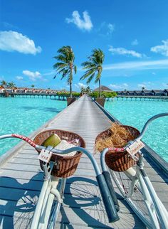 two bicycles parked on a pier next to the ocean and palm trees in the background