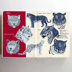 an open book with pictures of different types of animals on it's front cover