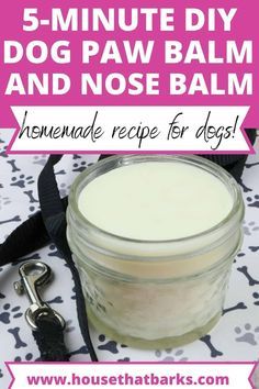 the homemade recipe for dogs is made with 5 minute diy dog paw balm and nose balm