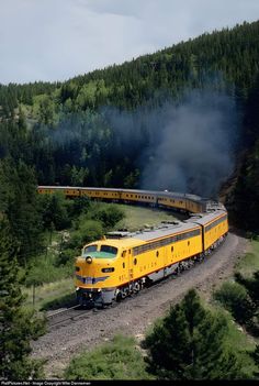 a yellow train traveling through a lush green forest