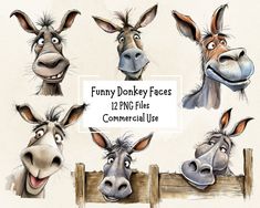 four donkey faces with different facial expressions on them, including one looking at the camera