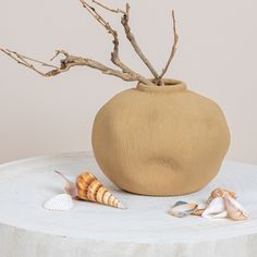 there is a small vase with sea shells on the table next to it and a branch