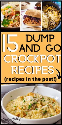 the cover of 15 dump and go crockpot recipes