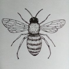 a black and white drawing of a bee