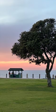 two people are sitting on a bench under a tree near the ocean at sunset or dawn