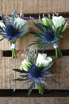 three white and blue flowers sitting on top of a piece of wooden pallet next to each other