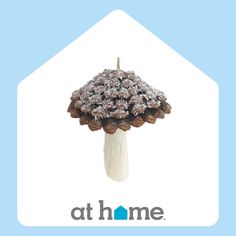 a bunch of pine cones sitting on top of a blue and white house with the words at home above it