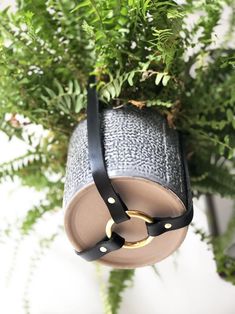 a potted plant with a leather handle hanging from it