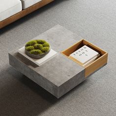 a concrete coffee table with a bowl of moss on top and a book in the middle