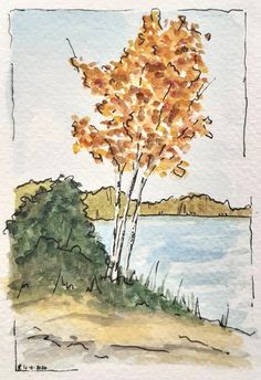 a watercolor painting of a tree with yellow leaves on it and a lake in the background