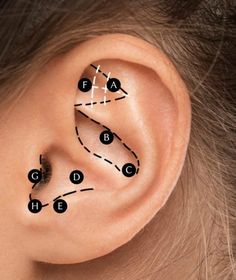 Ear Acupressure Points, Ear Acupressure, Endocrine Hormones, Ear Reflexology, Reflexology Points, Ear Seeds, Wellness Shop, Sinus Pain, Cerebral Cortex