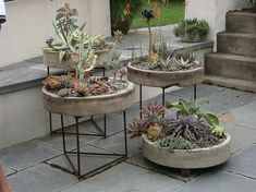 three cement planters with succulents and plants in them on the ground