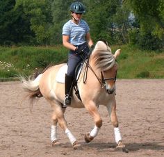 a woman riding on the back of a brown horse in a dirt field next to trees