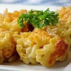 some food is on a white plate and has parsley in the middle of it