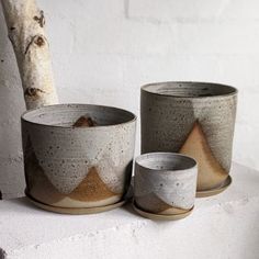 three cement pots sitting next to each other on a white ledge with a tree branch in the background