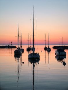 several sailboats are anchored in the water at sunset or dawn, with their sails still down