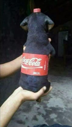 a person holding up a stuffed animal with a coke bottle on it's back