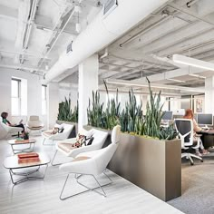 an office filled with lots of white furniture and plants in the center of the room