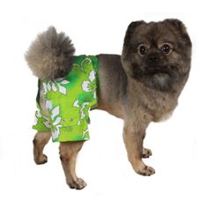 a small dog wearing a green shirt with flowers on it's chest and ears