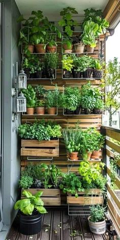 an outdoor balcony with plants growing on the wall