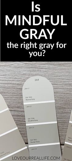 the words is mindful gray the right gray for you?