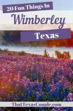 purple flowers with the words 20 fun things in wimberley texas