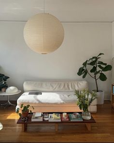 a living room with a couch, coffee table and potted plants on the floor