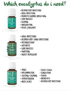 Eucalyptus Young Living Young Living Oils Recipes, Living Oils Recipes, Yl Oils, Diy Kosmetik