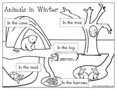 an animal in winter worksheet with the words in the middle and below it