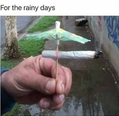 a hand holding an umbrella in the rain