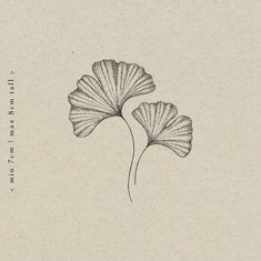 a drawing of two ginkoket leaves on a beige background with words above it