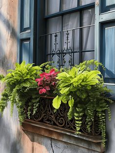 a window box filled with lots of green and pink flowers next to a building wall