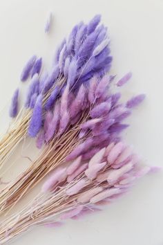 some purple and white flowers on a white surface