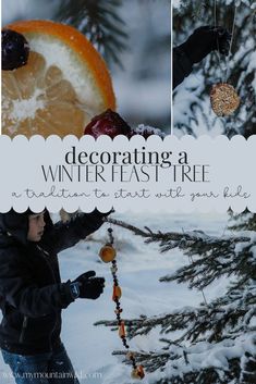 a person is decorating a tree with oranges and pine cones in the snow