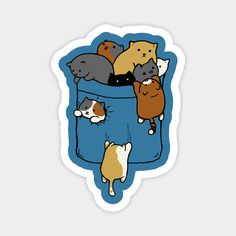 a group of cats sitting in a trash can