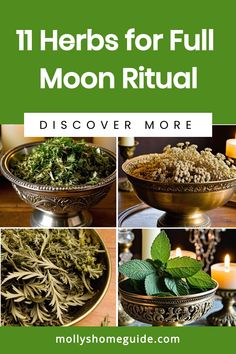 Herbs For New Moon, Herbs For Full Moon, Full Moon Ritual Spells, Full Moon Oil, Full Moon Tea, Full Moon In Capricorn, Full Moon Spells, Full Moon Rituals, Moon Oil