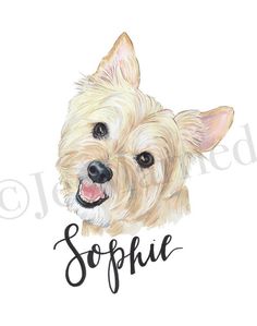 a watercolor drawing of a dog with the word sofie on it's face