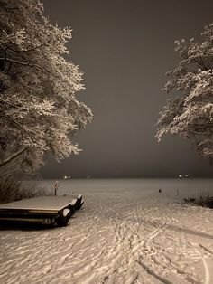 snow covered trees and benches in the middle of a snowy field with people walking on it