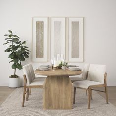 a dining room table with four chairs and a potted plant in the corner next to it