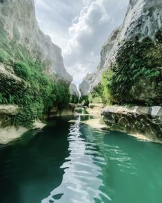 the water is very blue and green in this photo, it looks like there are trees growing out of the rocks