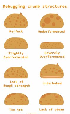 different types of breads that are labeled in english