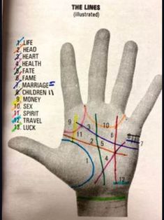 PALM READING LINES - Etsy How To Do Palm Readings, How To Read Palms Hands, Palm Reading For Beginners, Palm Reading Lines, Palm Reading Charts, Zodia Pești, Palmistry Reading, Palmistry Hand, Palm Lines