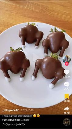 four chocolate elephants on a white plate sitting on a wooden table next to an instagram sticker