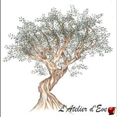 a drawing of an olive tree with green leaves