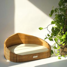 a wooden bed sitting on top of a white floor next to a potted plant