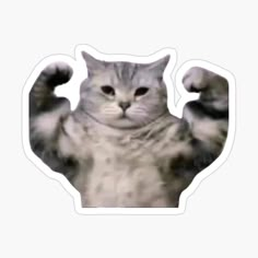 a gray and white cat flexing its muscles with his paw in the air sticker