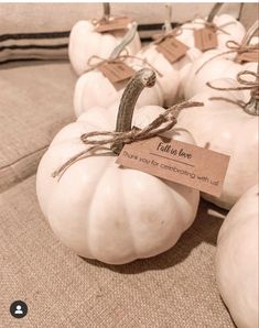 several white pumpkins with tags tied to them