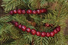 a close up of a pine tree with berries on it