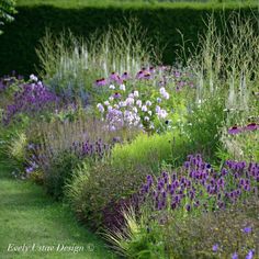 a garden filled with lots of purple and white flowers